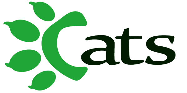 Cats Market